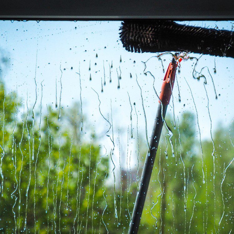 Exterior Cleaning in Raleigh, NC